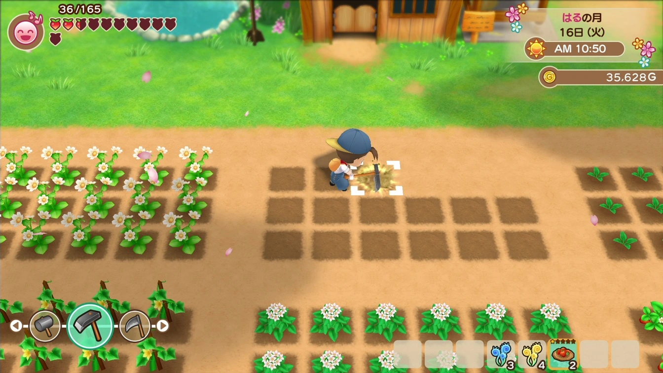 Screenshot from Story of Seasons: Friends of Mineral Town showing a character farming in a field with planted crops and a house.
